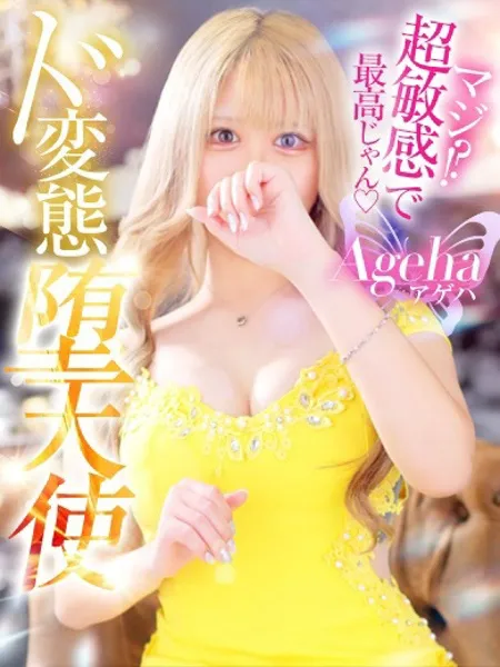 あげは - 写真1枚目