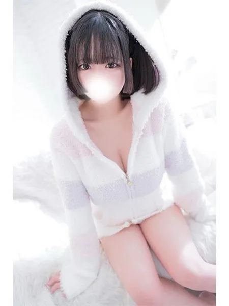 ちわわ - 写真2枚目